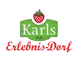 Sponsor